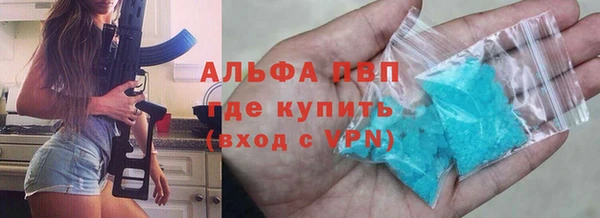 СК Медвежьегорск