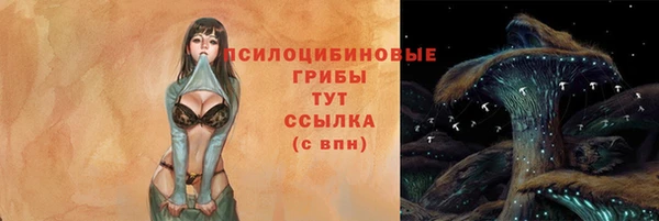 Альфа ПВП Мегион