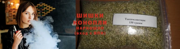 СК Медвежьегорск
