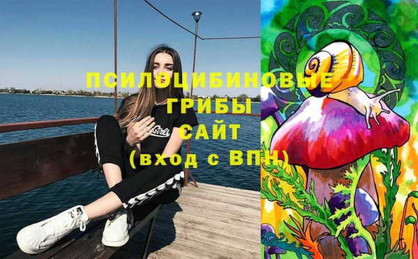 Альфа ПВП Мегион