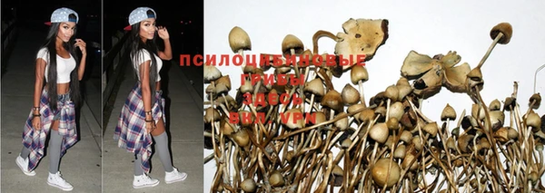 Альфа ПВП Мегион