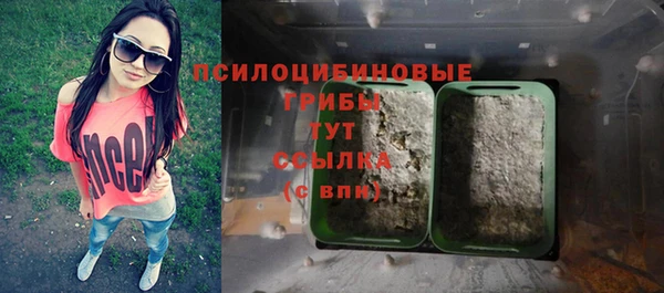 ECSTASY Медногорск