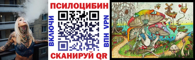 купить наркоту  Чердынь  Псилоцибиновые грибы ЛСД 